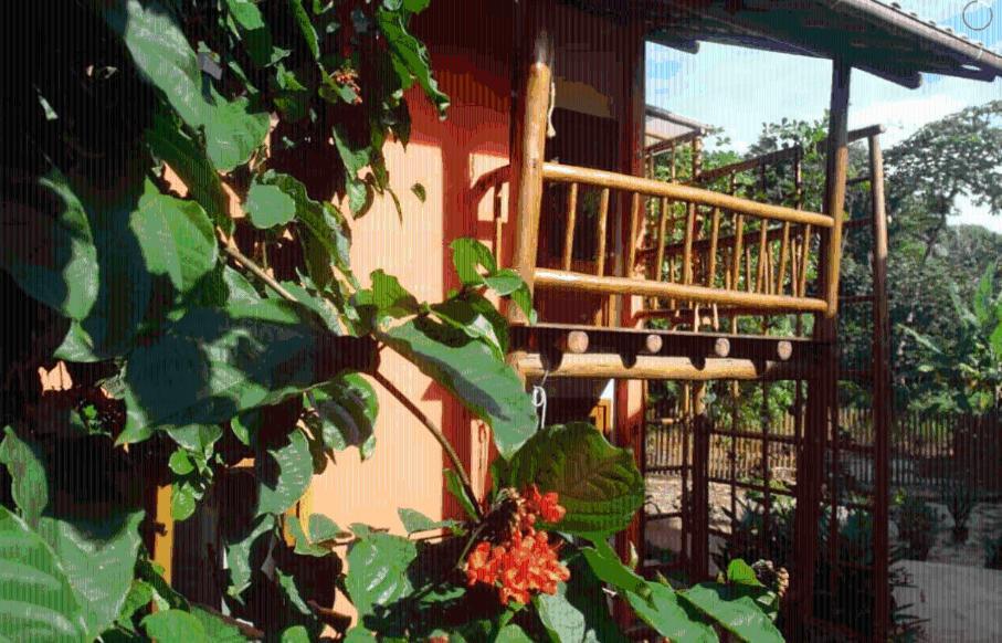 Concha Tropical Flat Διαμέρισμα Itacaré Εξωτερικό φωτογραφία