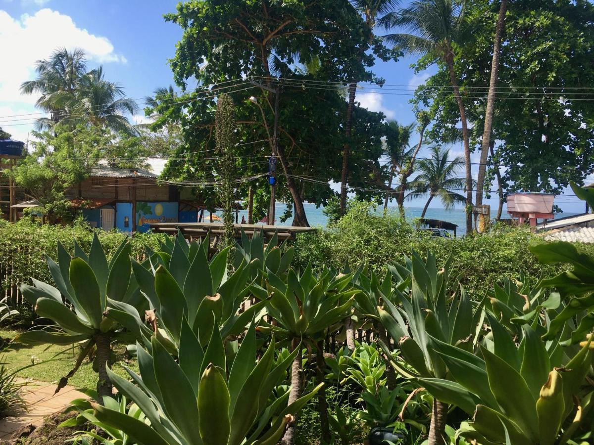 Concha Tropical Flat Διαμέρισμα Itacaré Εξωτερικό φωτογραφία